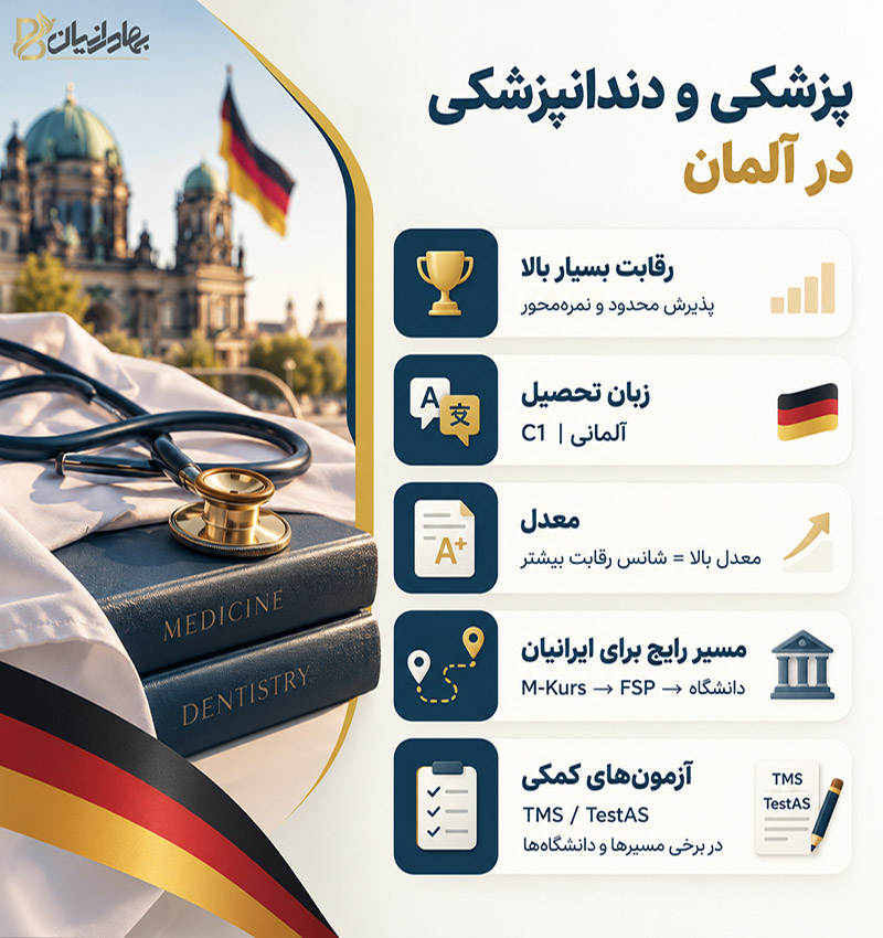اینفوگرافی تحصیل پزشکی و دندانپزشکی در آلمان